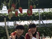 阿部農園の写真3