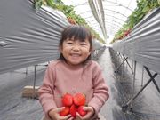 かもめファームの写真3