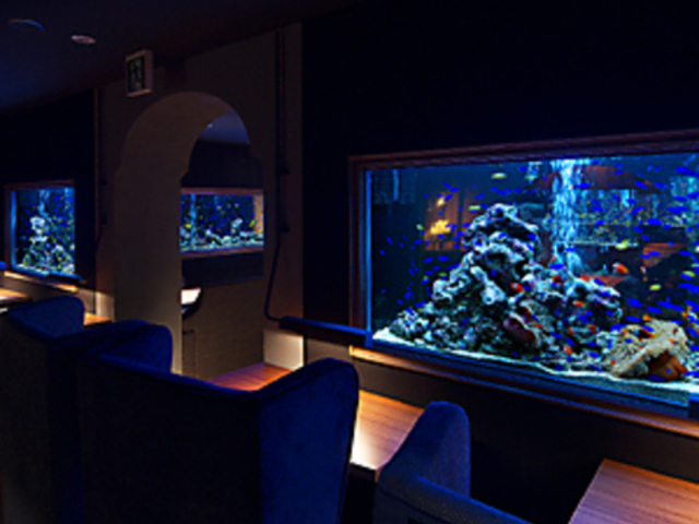 アクアリウムイタリアン 心斎橋 ライムの写真1