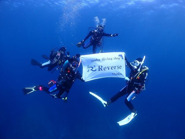 スタッフダイバー_Reverse