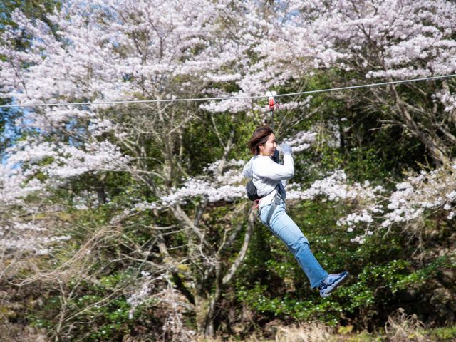 フォレストアドベンチャー・西条