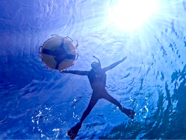 お一人様歓迎!!
一緒に楽しみましょう!!_OCEAN LIFE