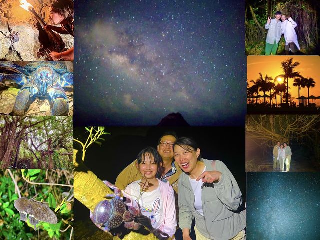 ターザンガイドご案内♪星空&ジャングルナイトツアー♪_OCEAN LIFE