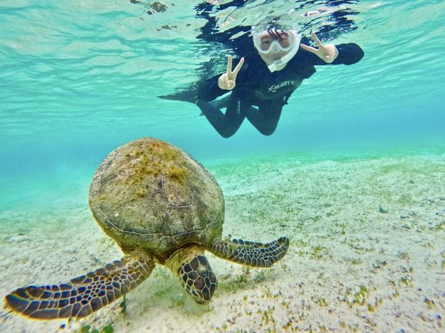人慣れしている個体であれば近くでツーショット♪_OCEAN LIFE