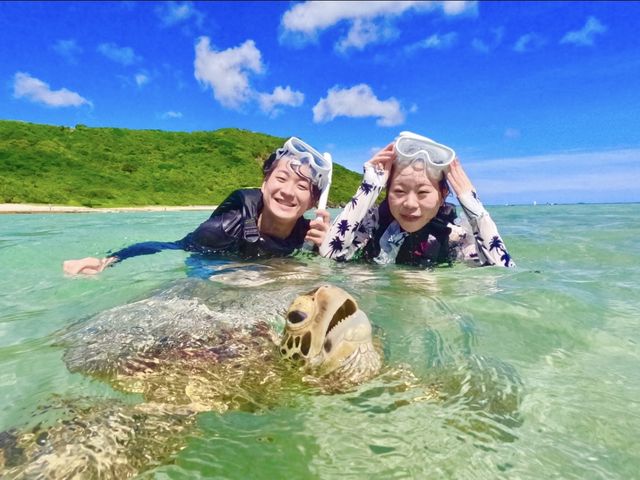 ウミガメ遭遇率は100%継続中!!_OCEAN LIFE