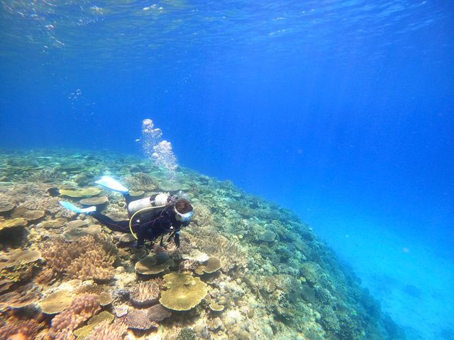 Diving Shop Nalu