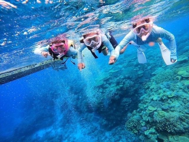 Diving Shop Nalu