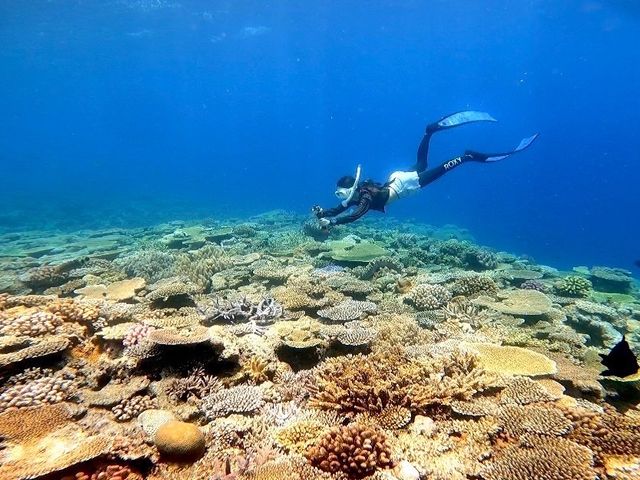 Diving Shop Nalu