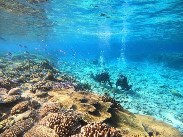Diving Shop Nalu