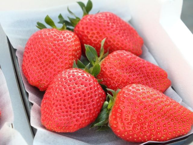 かおり野_美ないちごfarm