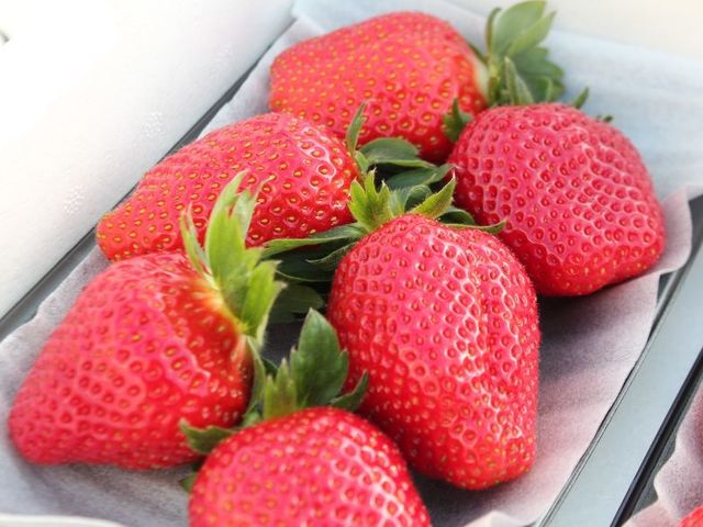 おいCベリー_美ないちごfarm