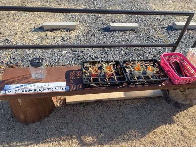 えさやり体験は、平日もできます。_どうぶつふれあい広場 PLAY KNOLL