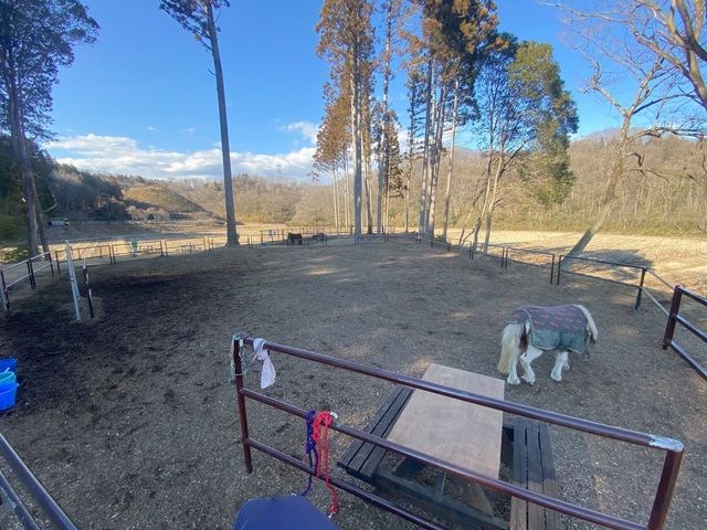 ひき馬体験の広場です。_どうぶつふれあい広場 PLAY KNOLL