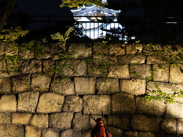 SAMURAI HONOR