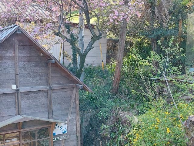 陶工房ポタリ_陶工房ポタリ