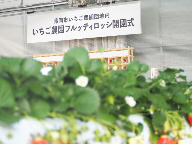 いちご農園 フルッティロッシ