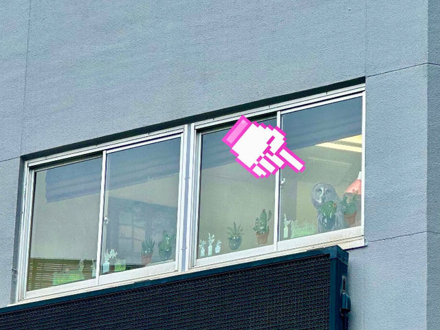 下の道路から見上げると見えます^ ^_カラフトフクロウカフェJOE(ジョー)