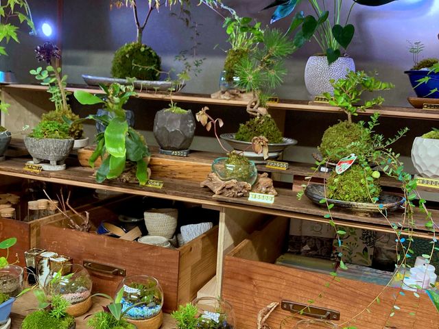 店内_伊勢の苔玉やさん森の製作所