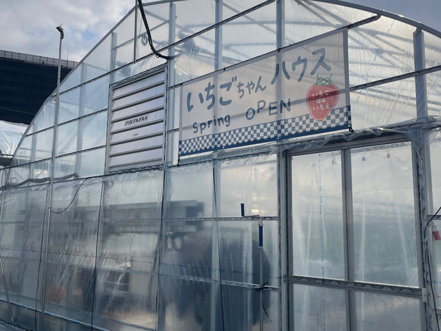 いちごdeいちえ