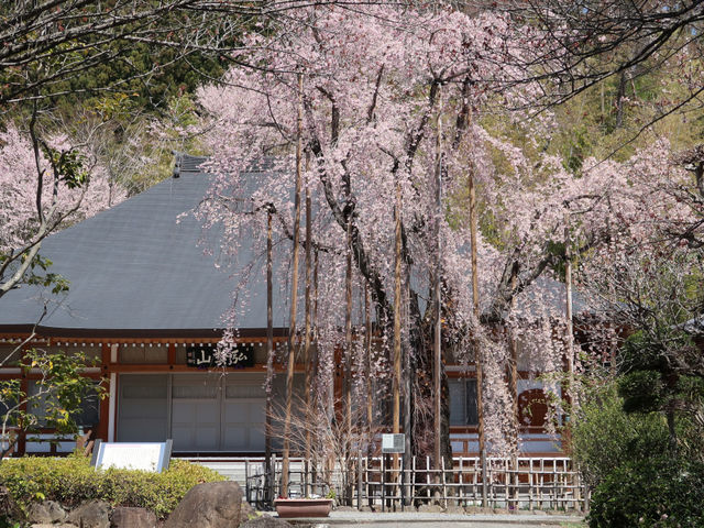 長楽寺
