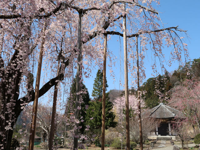 長楽寺
