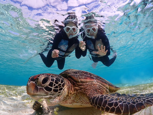 綺麗な海...眺めるだけじゃもったいない!宮古島ウミガメシュノーケルフォトツアー♪_宮古blueまほろば