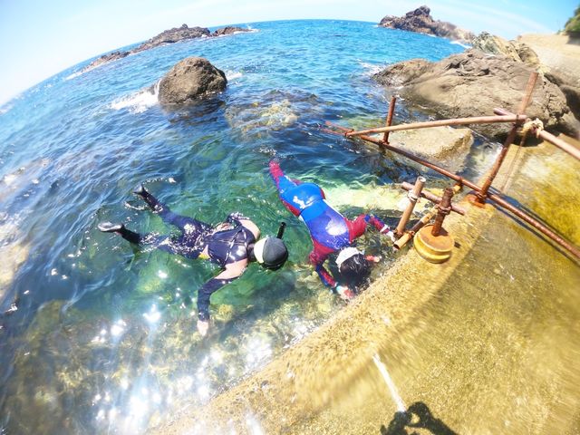何がいるのかな?_ダイビングとスノーケリングのお店なぎさひろい