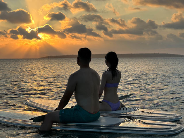 DAVID OCEAN