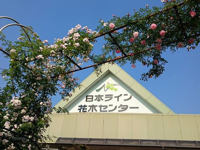 花木センター建物_協同組合日本ライン花木センター