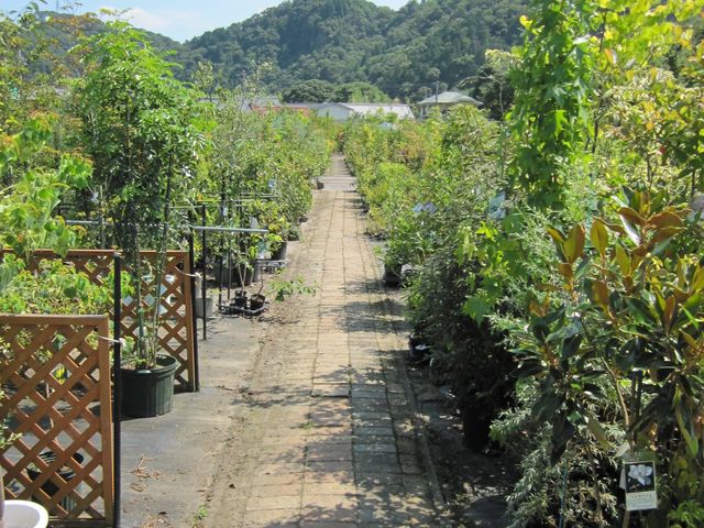 協同組合日本ライン花木センター