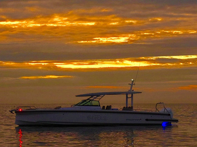 SEAEL12 CRUISE