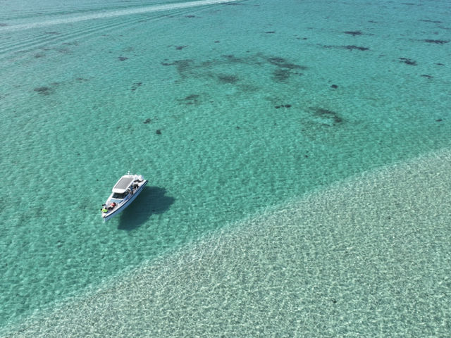 SEAEL12 CRUISE