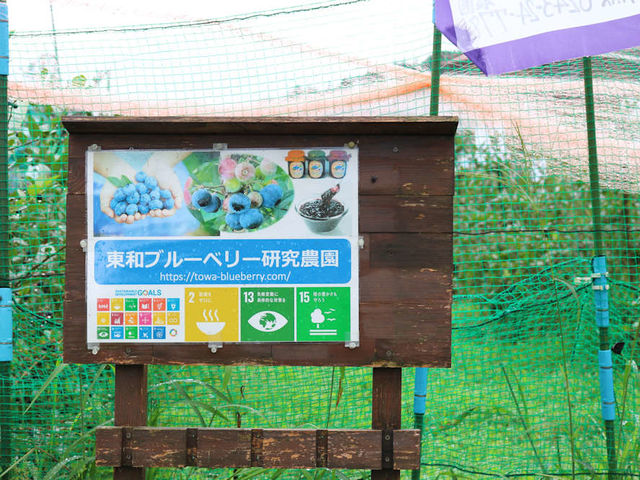 東和ブルーベリー研究農園の看板とのぼりが目印_東和ブルーベリー研究農園