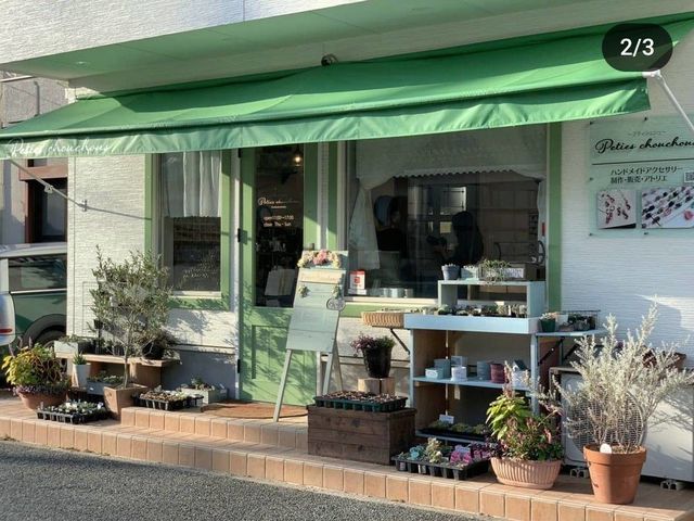 アトリエ&SHOP peties chouchous~プティシュシュ~