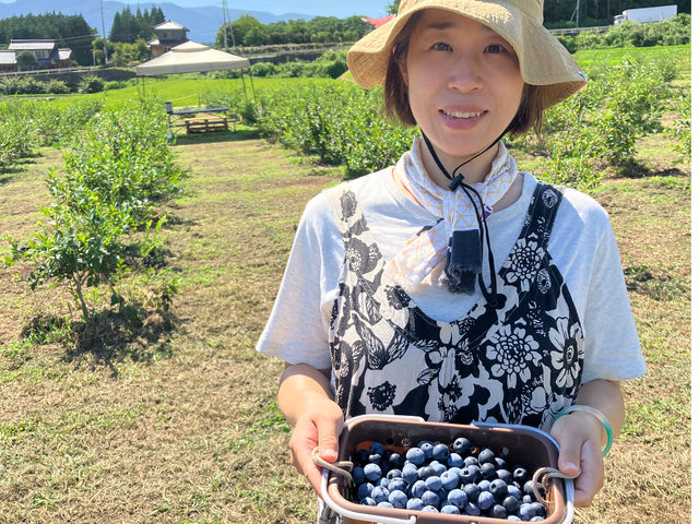 SHIZENブルーベリー園