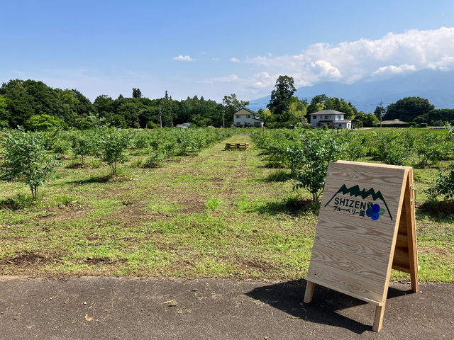 SHIZENブルーベリー園