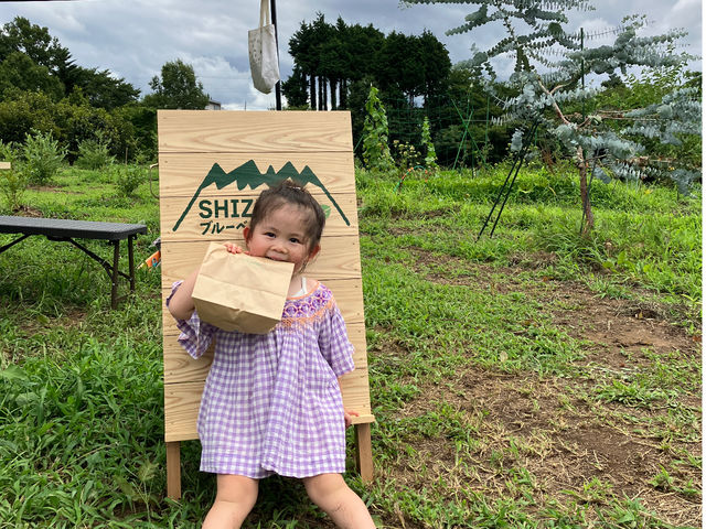 SHIZENブルーベリー園