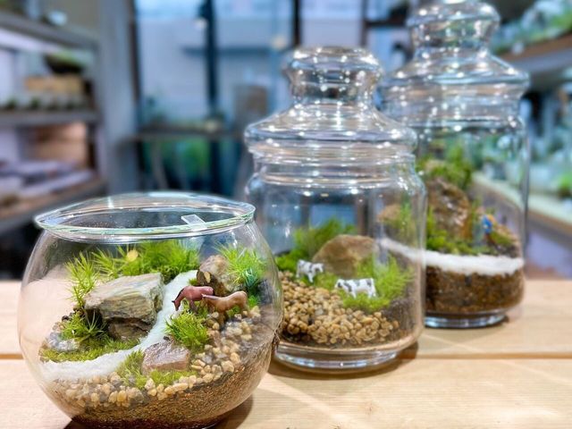 Terrariums仙台AER店