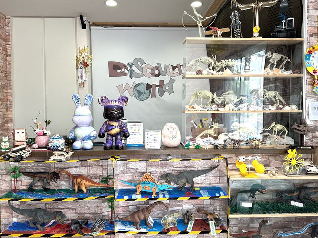 店のカウンターです。ベアアート(DisDoll)の他もたくさん体験見本が飾ってあります!_Discovery World