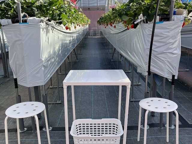 小泉園