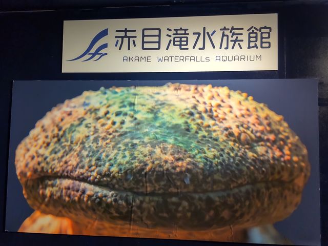 赤目滝水族館を見学して渓谷へ_Nabari Experience