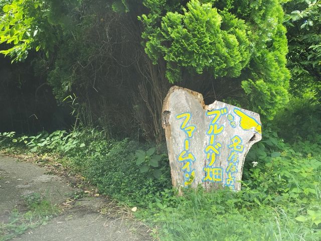畑の入り口の看板_房総ブルーベリーくらぶ