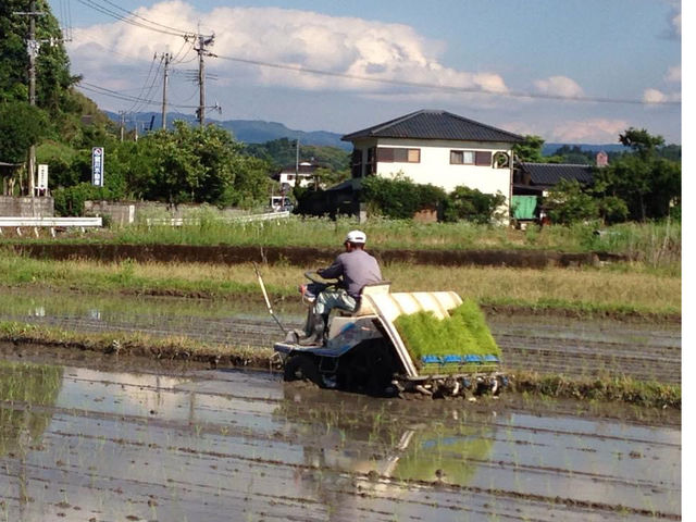 新村家のゆっくり農業