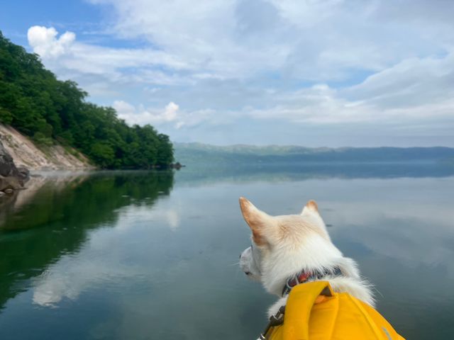 屈斜路湖 SUP CLUB