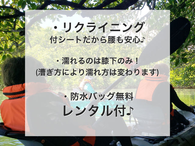 リクライニング付シートだから腰が痛くなる心配も無し!_ひかりオーシャンズ