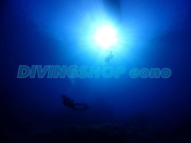 ダイバーデビューは大阪エオノで!_DIVINGSHOP eono