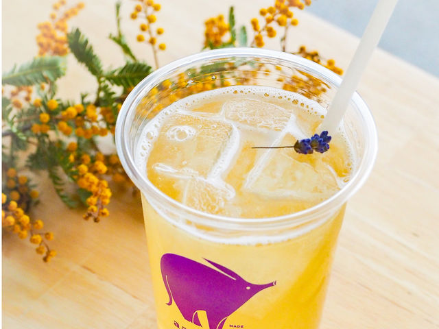 aardvark tea Astand