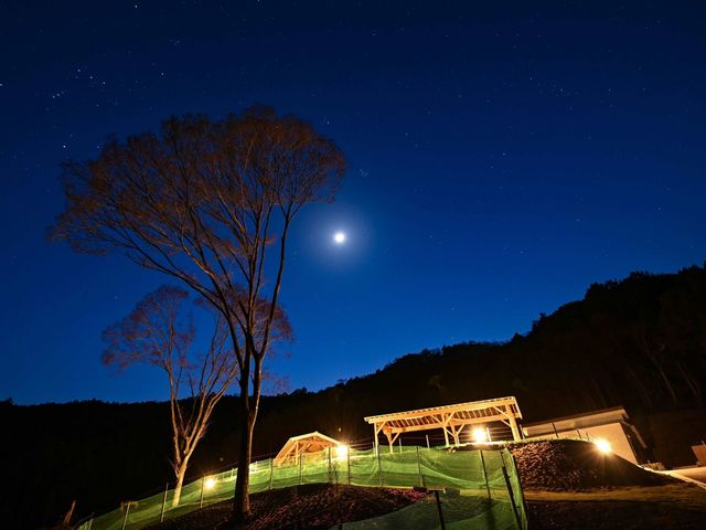 感動する満天の星空のもとキャンプをお楽しみいただけます。_うぐいすの森キャンプ場
