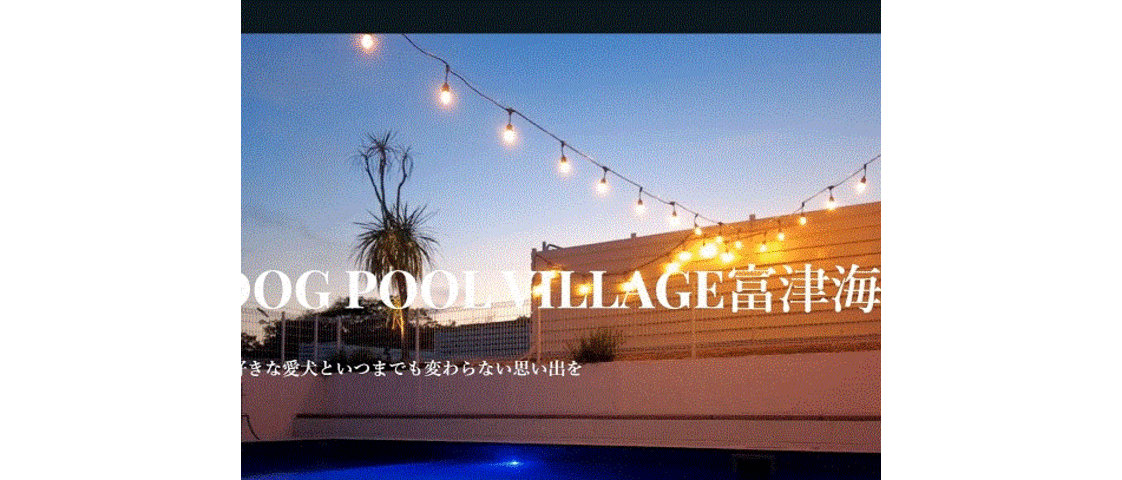 Dog pool village 富津海岸