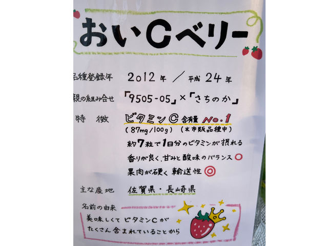 人気品種おいCベリー_しみずいちご園